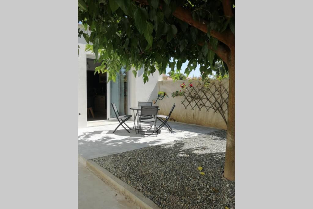Pont-de-lʼIsère Charmant Appartement Avec Terrasse מראה חיצוני תמונה
